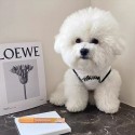 Stussyペットの子犬の服ベスト毛落ち防止春夏小型犬の猫の服博美熊のテディより薄いタイプ